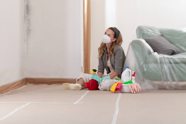 Reliable Mold Remediation contractor in Port Ludlow, WA by 24 Hour Mold Removal